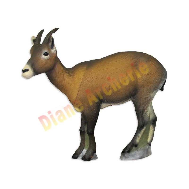 Cible 3D SRT Ibex femelle - Groupe 2 Cible 3D SRT Ibex femelle - Groupe 2