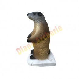 Cible 3D SRT Marmotte - Groupe 4