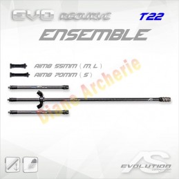 Stabilisation complète ARC SYSTEME Evo 15 Recurve T22