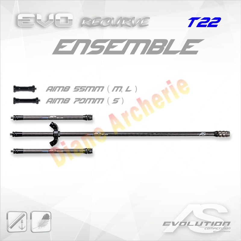 Stabilisation complète ARC SYSTEME Evo 15 Recurve T22 Stabilisation complète ARC SYSTEME Evo 15 Recurve T22