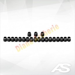 Oeilleton visette ARC SYSTEME avec correction
