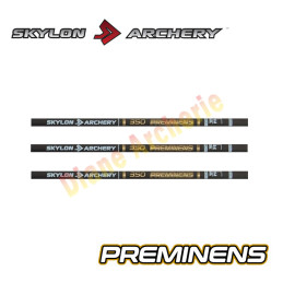 Lot de 12 tubes SKYLON Preminens