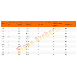 Lot de 12 tubes EASTON Superdrive Micro choix pointes et pins