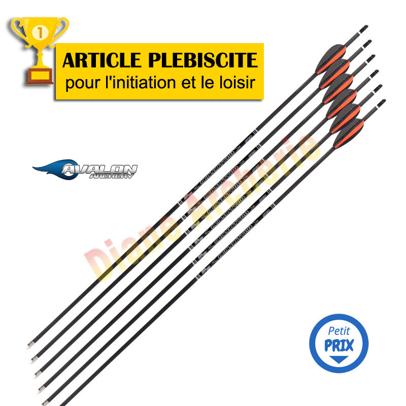 Flèche AVALON Tyro pour archers débutants et en progression